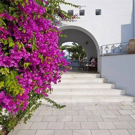 Ammos Naxos Hotel Naxos City