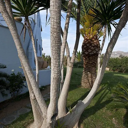 Ammos Naxos 3* Naxos City